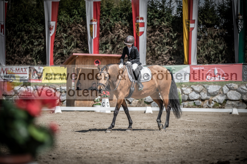 DSC_0935 | equestrian-live-com
