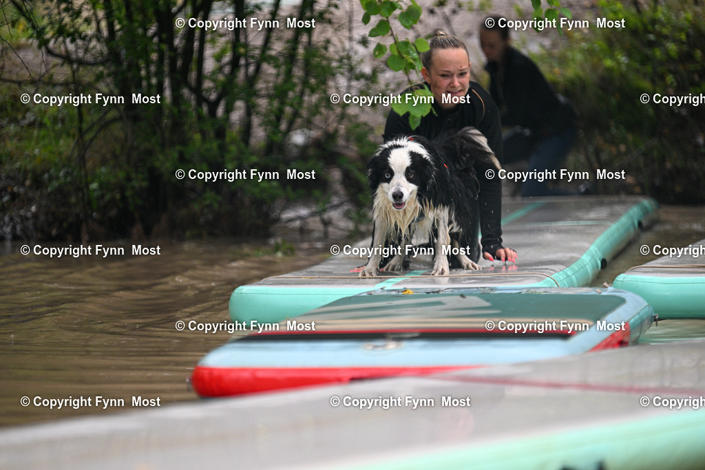 DSC_2513 | Hallo und herzlich Willkommen auf meiner Shop-Seite Fynn Most.

Ich wünsche Dir viel Spaß beim stöbern durch die Bilder, wenn Du Fragen hast oder Bilder vermisst, kannst du mir gerne eine Nachricht schreiben. - Realisiert mit Pictrs.com