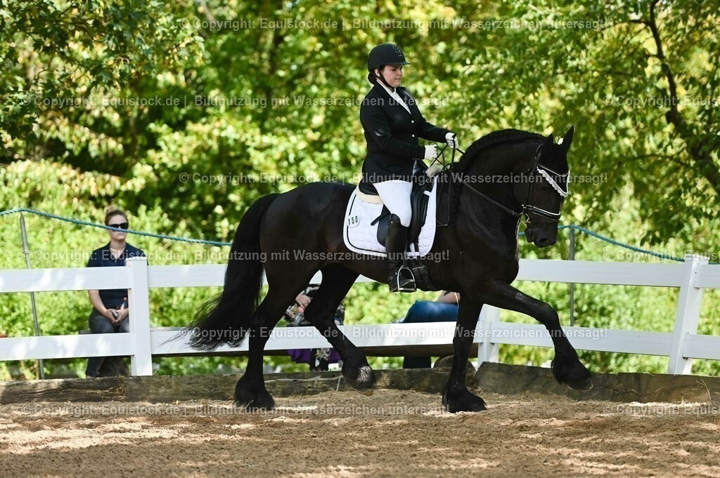 20230715_02_Dressurreiterprüfung Kl.L_0189 | equistock
