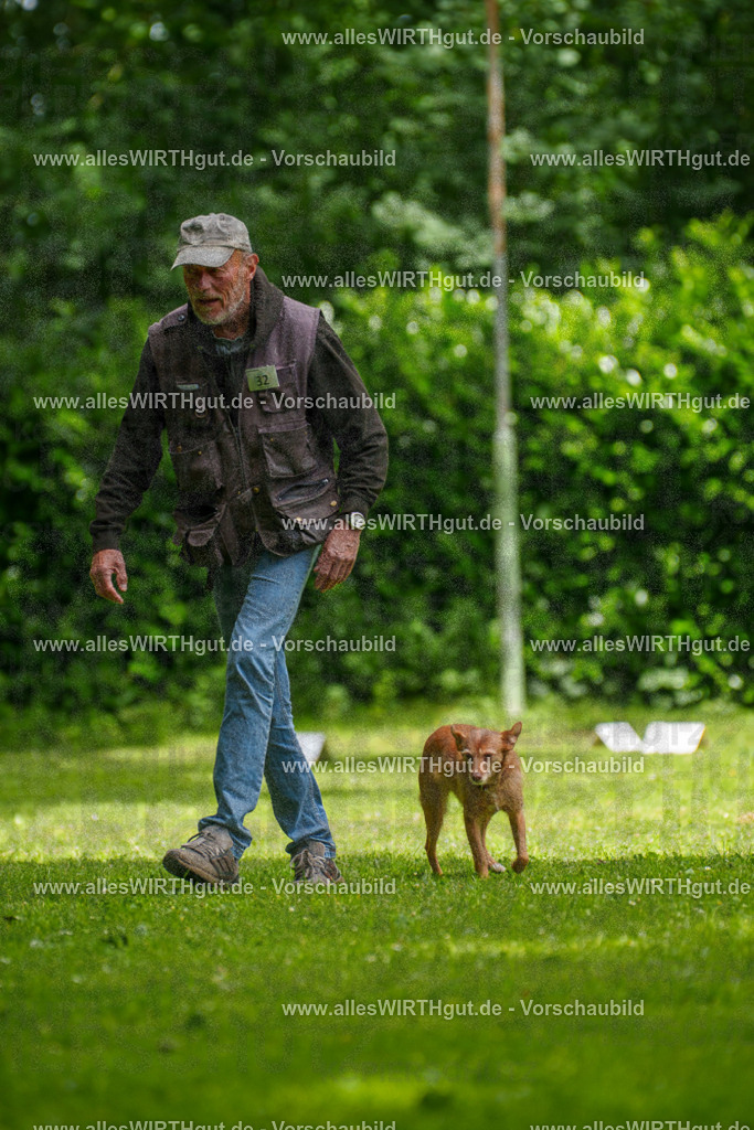 @allesWIRTHgut_Tierfotografie - www.allesWIRTHgut.de - 121521-7R508729 | Professionelle Tierfotografie in Mönchengladbach von Daniel Wirth (allesWIRTHgut). Liebevolle & natürliche Bilder von Hunden & Katzen für unvergessliche Erinnerungen.