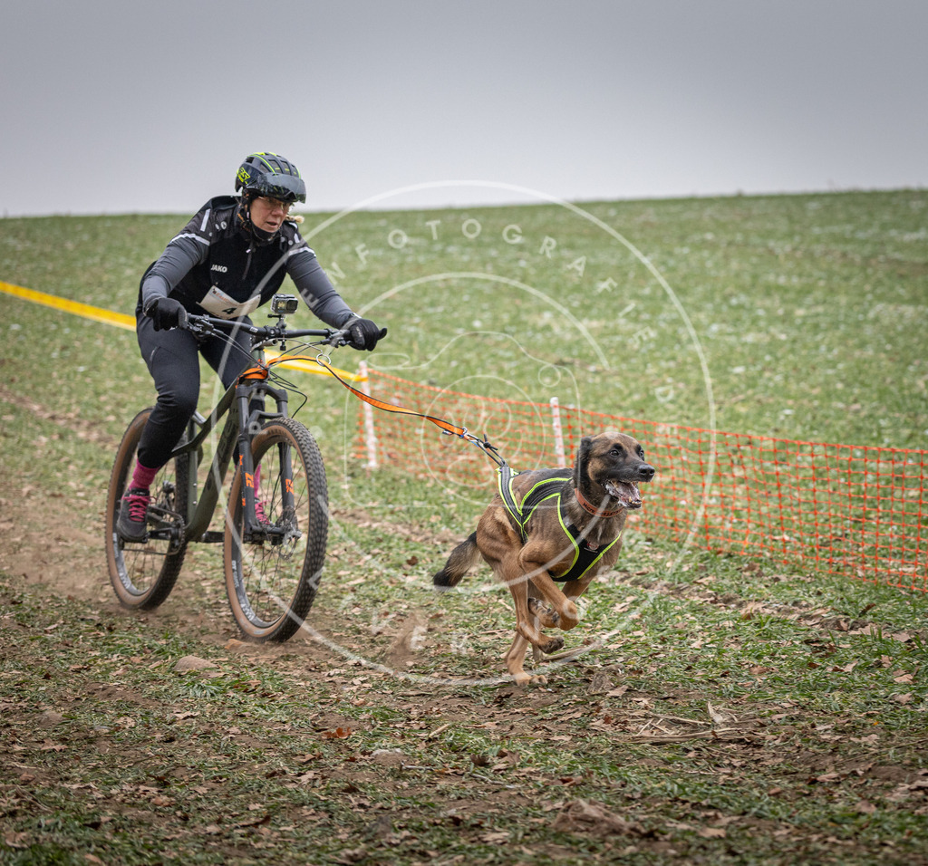Pfotenfotografie_DV3A1554 | Hundefotografie, Tierfotograf, Pfotenfotografie, Fotoshooting Hund, Hunde Portrait, Hundesport, Hundeportraits, Heideshooting, Hunde, Sportfotograf, Hundefotograf, Turnierhundsport, THS,  - Realisiert mit Pictrs.com