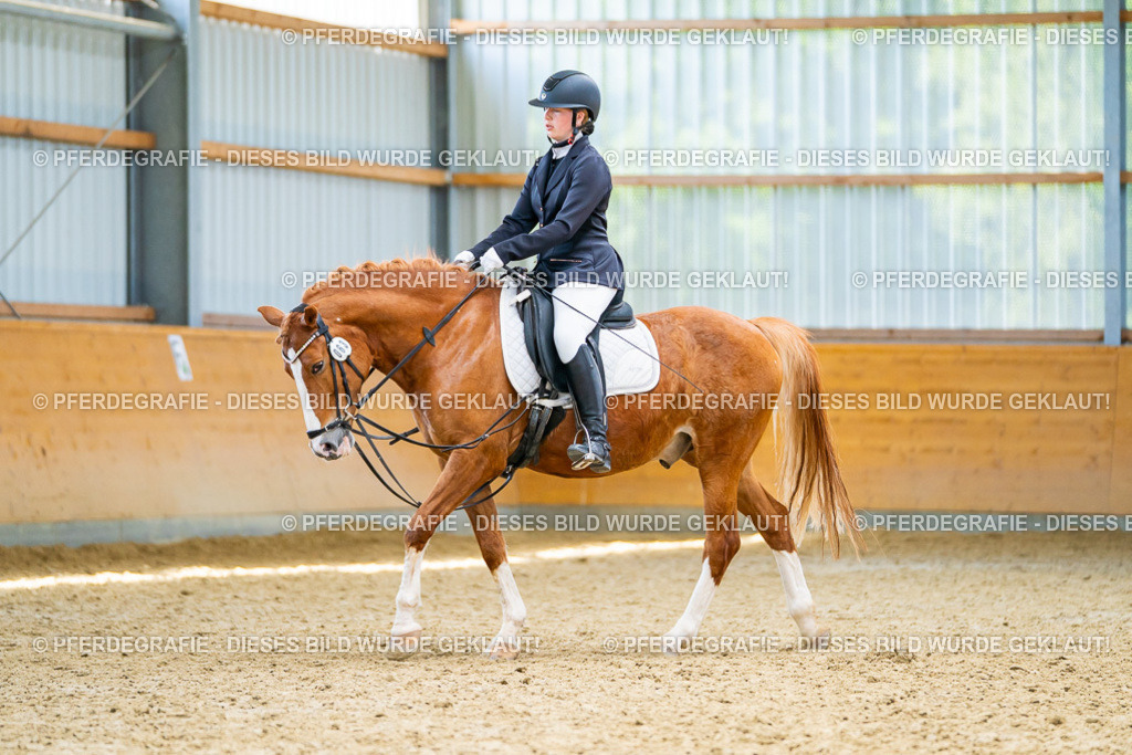 DSC09628 | Pferdegrafie