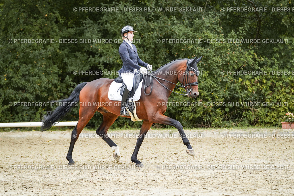 DSC07247 | Pferdegrafie