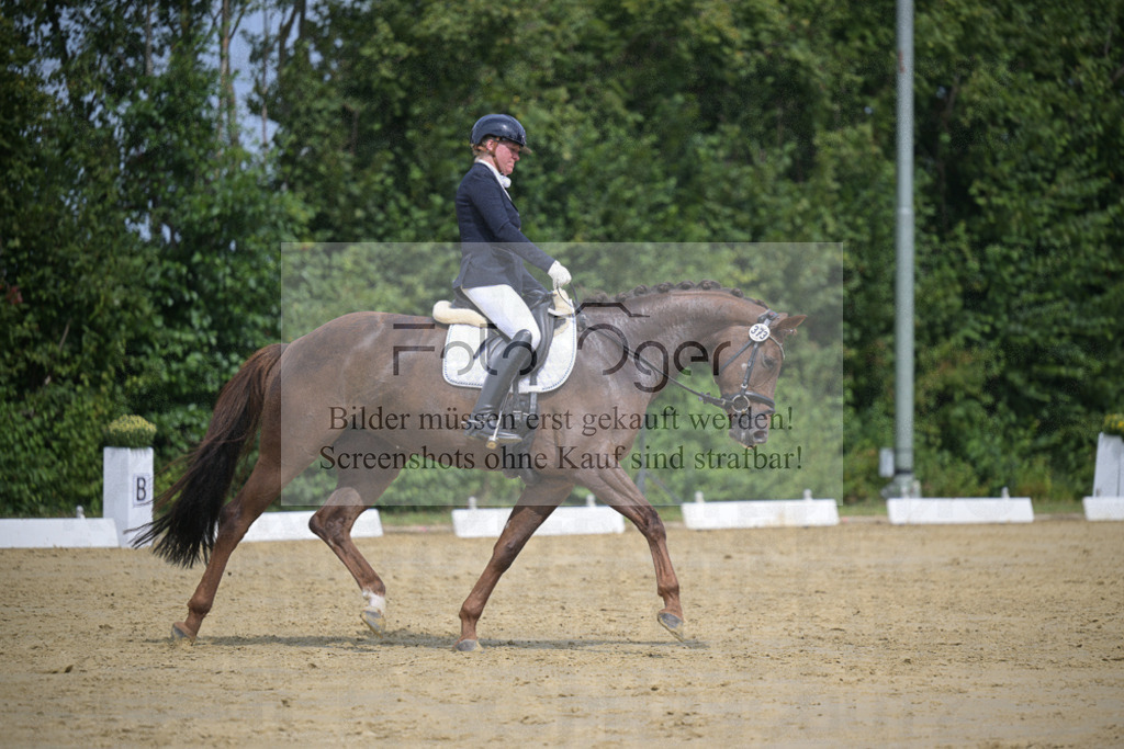 DOS_0192 | Entdecke hochwertige Reitturnierfotos von Foto Oger. Professionell, emotional und authentisch – jetzt Lieblingsmomente im Shop bestellen.Deutschlandweite Turnierfotografie. - Realisiert mit Pictrs.com