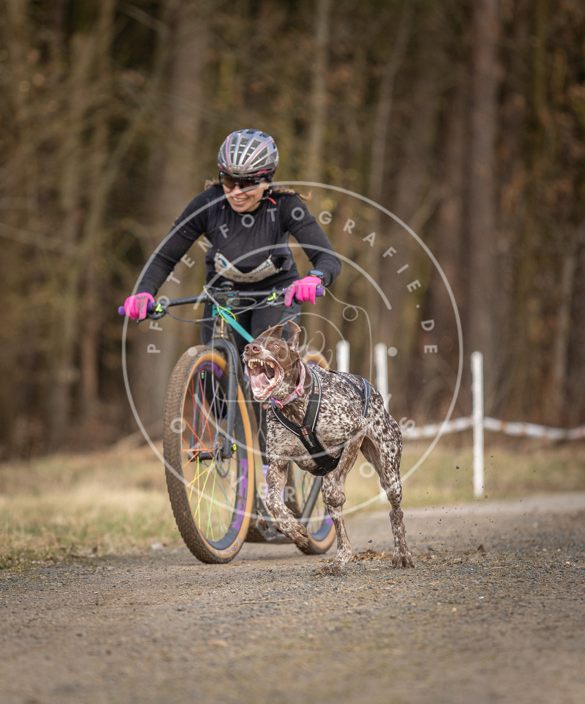 DV3A4627 | Hundefotografie, Tierfotograf, Pfotenfotografie, Fotoshooting Hund, Hunde Portrait, Hundesport, Hundeportraits, Heideshooting, Hunde, Sportfotograf, Hundefotograf, Turnierhundsport, THS,  - Realisiert mit Pictrs.com