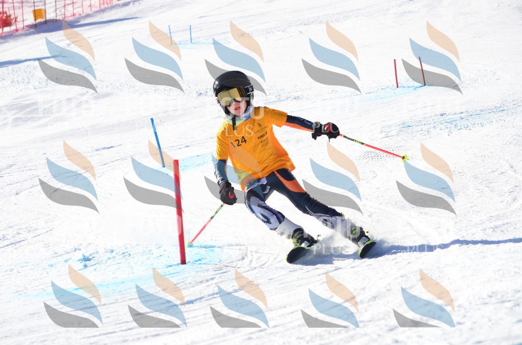 C6381 | holidayphoto