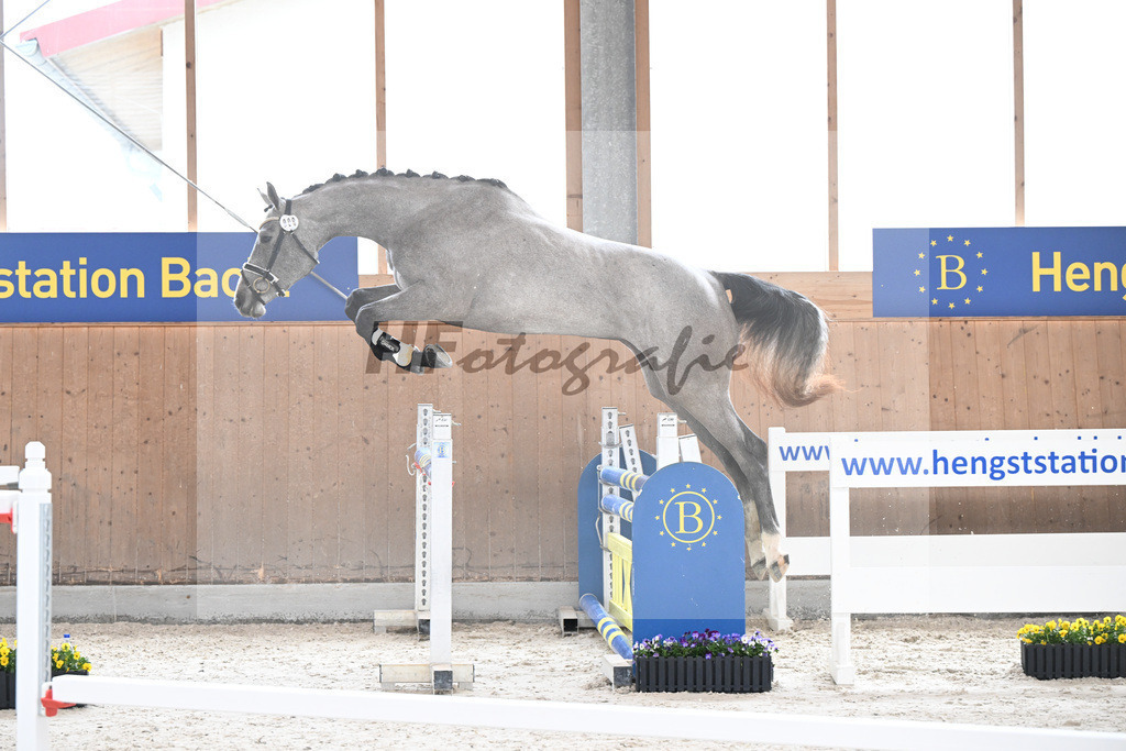 Kat-Nr. 9 nn v. Vingino_Schindele_5250232 | hf-fotografie - Realisiert mit Pictrs.com