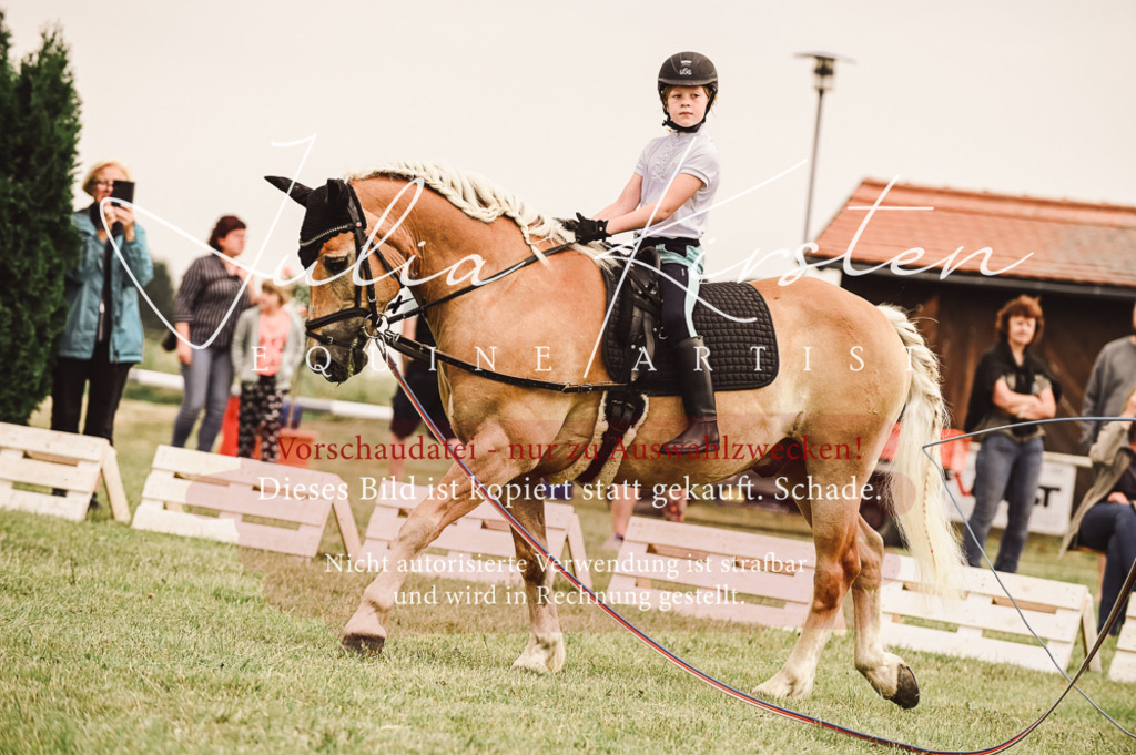 DSC_5211 | Pferde- und Turnierfotografie in Westsachsen. Pferdeportraits, Auftragszeichnungen und intuitive Kunst.