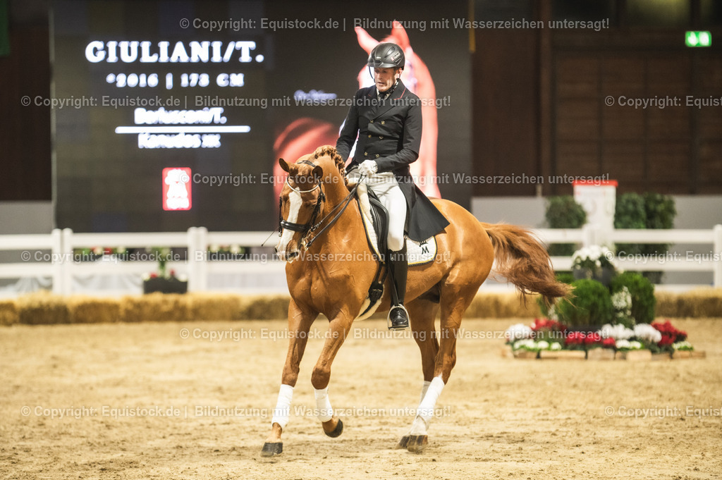 20240302_Hengstvorstellung_Marbach_TOMsPiC_0901 | equistock