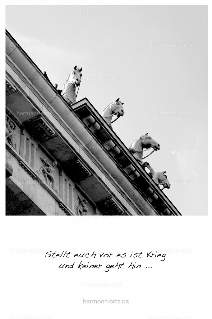 PK_Zitate_10x15_BW-052 | Photo Foto Kunst Art schwarzweiss Bilder Rheine Münster Berlin Blumen 