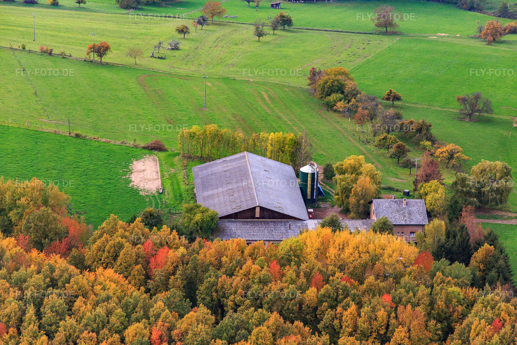 Luftbild: Frm Euler in Niederbronn-les-Bains im Bundesland Bas-Rhin in Frankreich. – Foto: IMG_084874.jpg vom 24.10.2015 durch Werner Riehm/FLY-FOTO.de – Auflösung des Originals: 5472 x 3648 px