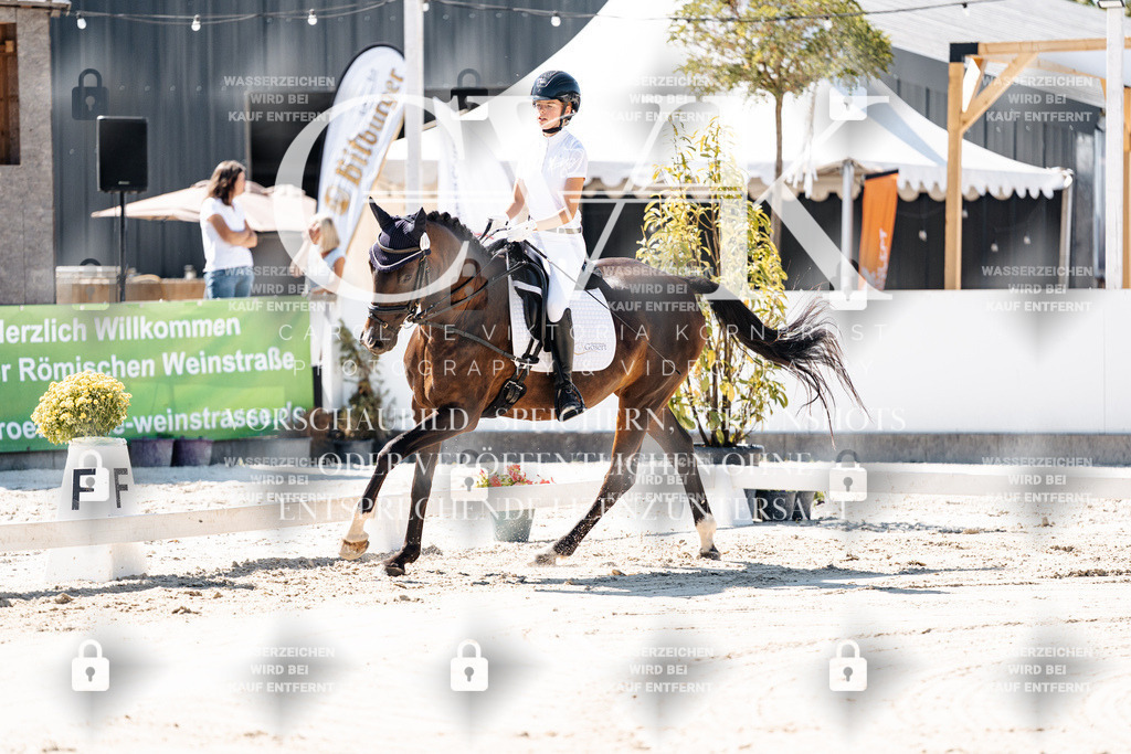 CK902275 | Turnierfotografie Pferdefotografie Trier Rheinland-Pfalz Pferdesport Reitsport Tierfotografie Sportfotografie Pferdevideo Pferdevideografie Equestrianvideography equestrianphotography  - Realisiert mit Pictrs.com