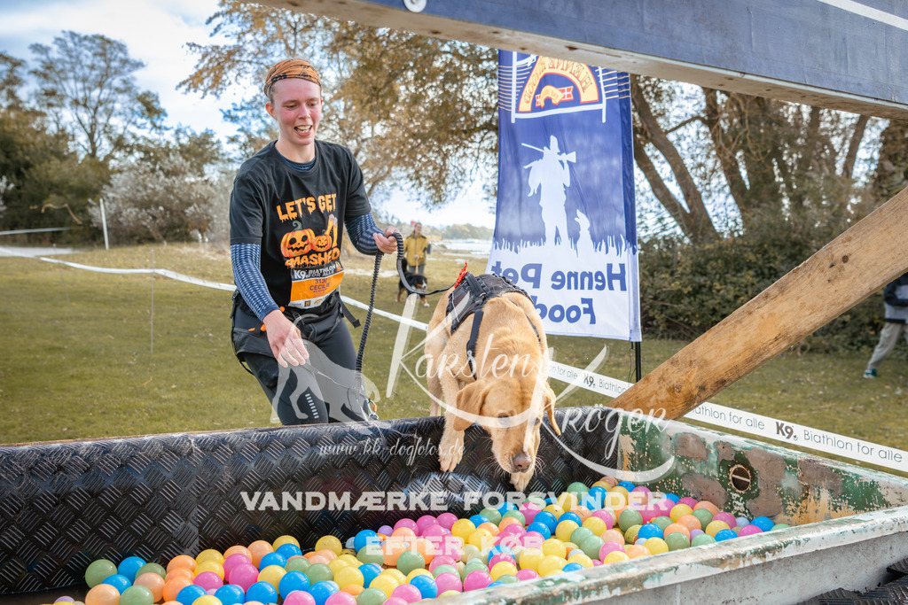 1412_ZZ93927-2 | kk-dogfotos