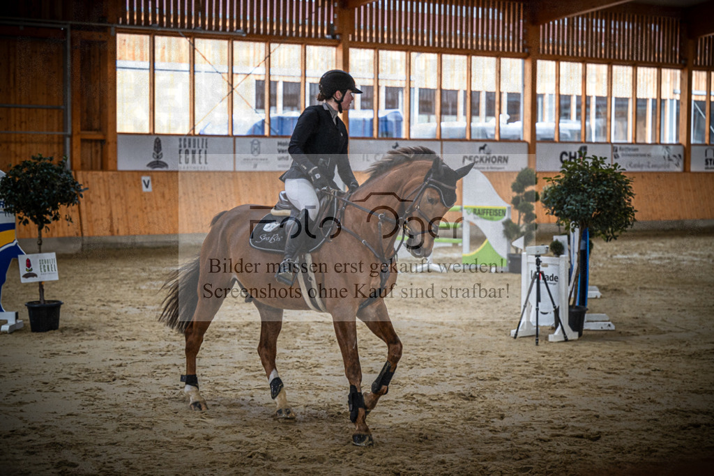 DOS_2069 | Entdecke hochwertige Reitturnierfotos von Foto Oger. Professionell, emotional und authentisch – jetzt Lieblingsmomente im Shop bestellen.Deutschlandweite Turnierfotografie. - Realisiert mit Pictrs.com