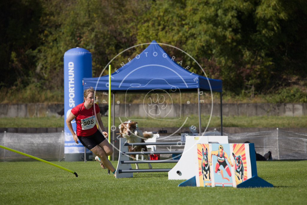 0L8A8067 | Hundefotografie, Tierfotograf, Pfotenfotografie, Fotoshooting Hund, Hunde Portrait, Hundesport, Hundeportraits, Heideshooting, Hunde, Sportfotograf, Hundefotograf, Turnierhundsport, THS,  - Realisiert mit Pictrs.com