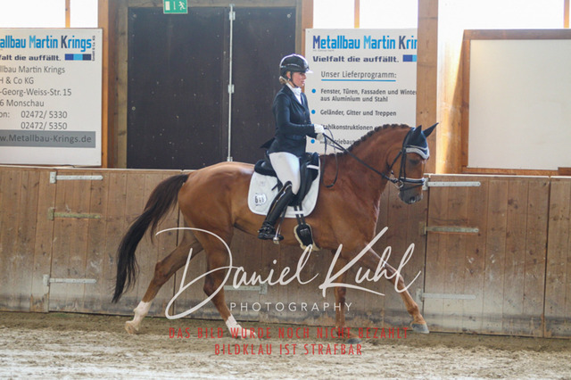 DKP43178 | Turnierfotos kaufen im Webshop von Daniel Kuhl Photography – entdecke professionelle Reitsportfotos aus Turnieren & Events. Hochwertige Turnierbilder online bestellen & sichern. Jetzt Fotos von Reitsportturnieren kaufen!