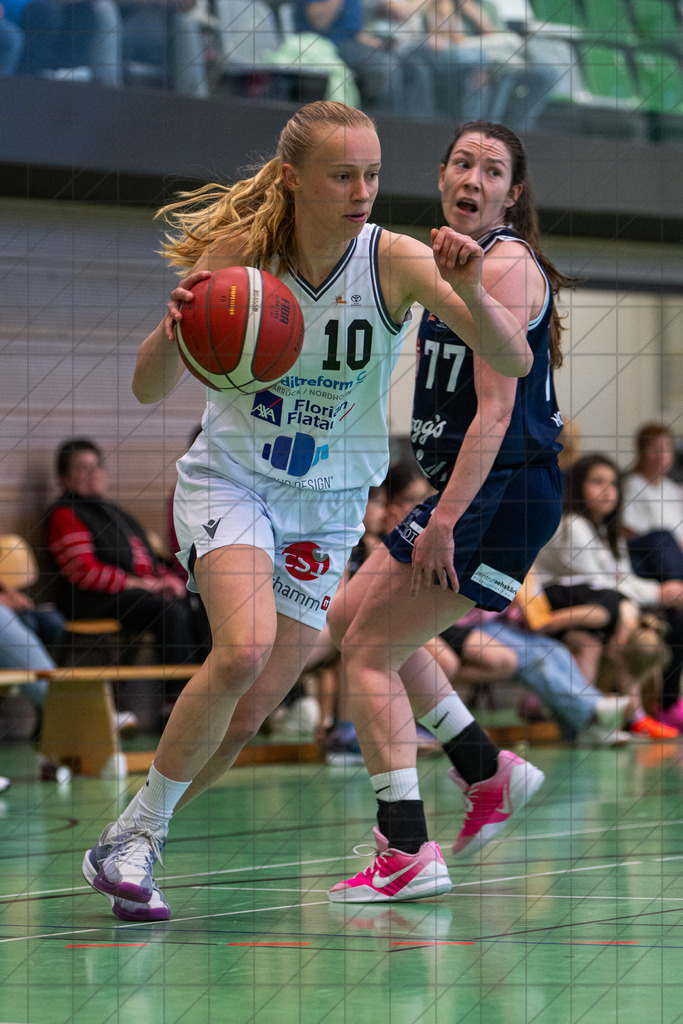 2. DBBL Nord 25/26 | Spieltag 21 | BBC Osnabrück vs. ETV Hamburg | 08.03.26: 2. DBBL Nord 25/26 | Spieltag 21 | BBC Osnabrück vs. ETV Hamburg / Osnabrück / Deutschland  //   CREDIT:www.bullenfotos.de, Martin König, Hörner Weg 40, D-49078 Osnabrück, +4917663732967 // Nutzung und Weitergabe nur zu den vereinbarten Zwecken. Presseanfragen an Ersteller. Alle Rechte beim Ersteller. Honorierung nach MFM. - Realisiert mit Pictrs.com
