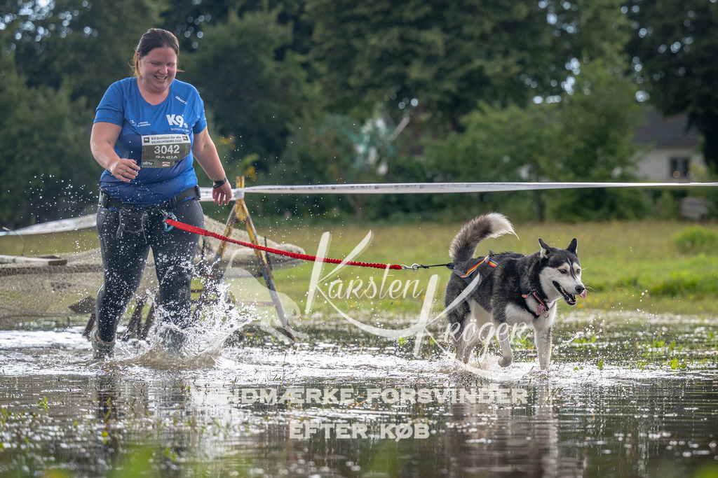 1359_ZZ90664 | kk-dogfotos