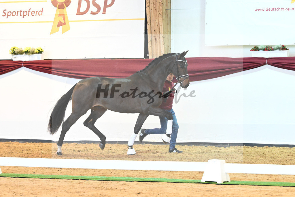 Kat-Nr. 16 v. De Beau_Schult_66220212 | hf-fotografie - Realisiert mit Pictrs.com