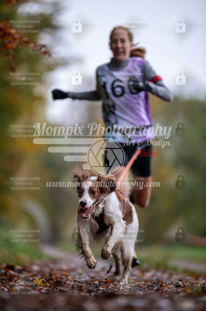 DBT_DAKM_SA_4_11_2023_Canicross-97 | PayLife