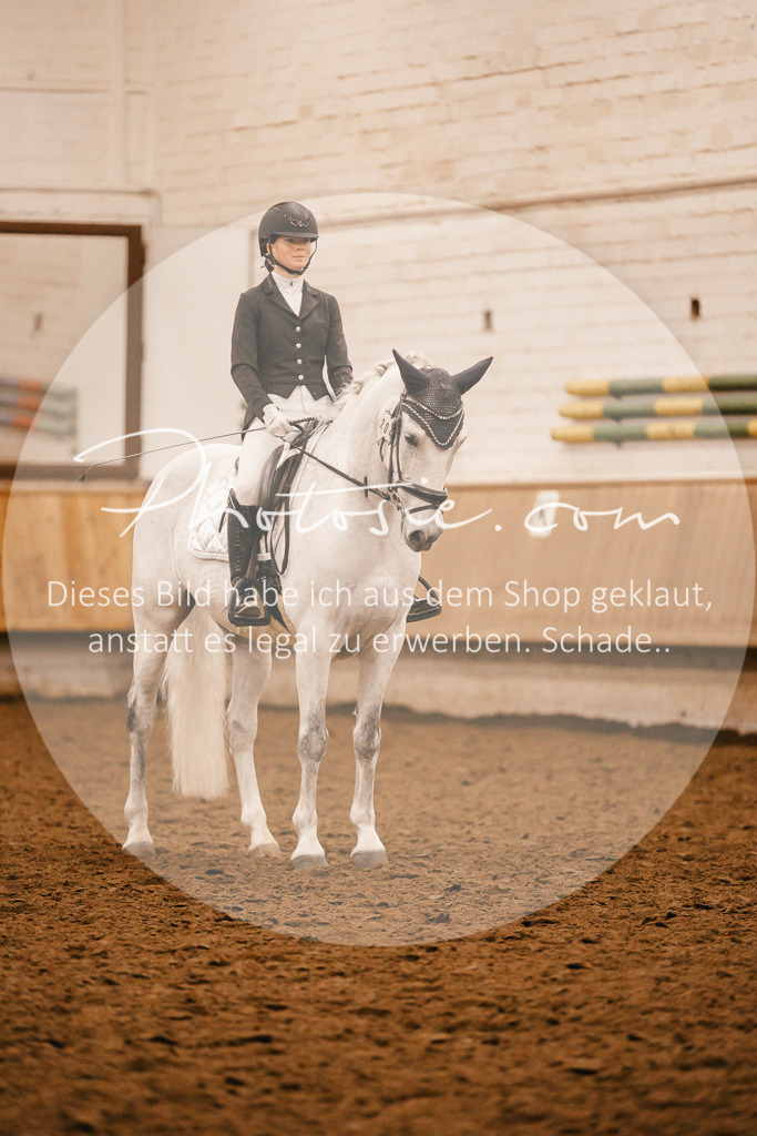 3I6A5272 | Stimmungsvolle Portraits und Reitsportfotografie im Ruhrgebiet und im Münsterland.

Pferdefotografie, Hundefotografie, Tierfotografie, Reportagen, Portraits von Tier und Mensch, Turnierfotografie in Bochum, Recklinghausen, Marl, Haltern am See, Dülmen.. - Realisiert mit Pictrs.com