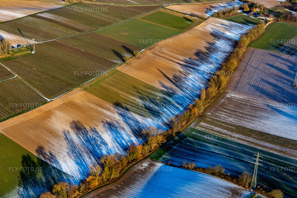 Luftbild: Feldstrukturen und Schatten im Winter bei Schnee am Dierbachtal in Minfeld im Bundesland Rheinland-Pfalz in Deutschland. Foto: IMG_139774.jpg vom 16.01.2024 durch Werner Riehm/FLY-FOTO.de