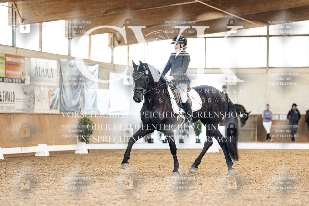 CK909793 | Turnierfotografie Pferdefotografie Trier Rheinland-Pfalz Pferdesport Reitsport Tierfotografie Sportfotografie Pferdevideo Pferdevideografie Equestrianvideography equestrianphotography  - Realisiert mit Pictrs.com