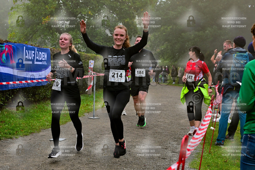 Z8N_1917 | la-psv - Realisiert mit Pictrs.com