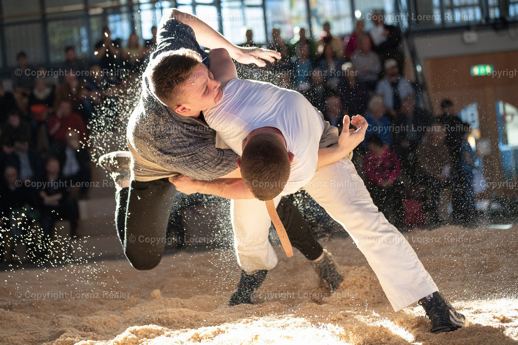 Schwingen -  Lichtmess 2024 | Gais, 3.2.24, Schwingen - Lichtmess.