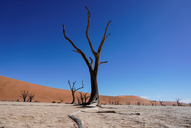 Deadvlei_ Namibia | Atemberaubende Reisefotografie gepaart mit modernen Inspirationen für persönliche Perspektivwechsel. Für alle Reisenden mit Drang nach Abenteuer und Freiheit. Ideal als Geschenkidee - Realisiert mit Pictrs.com
