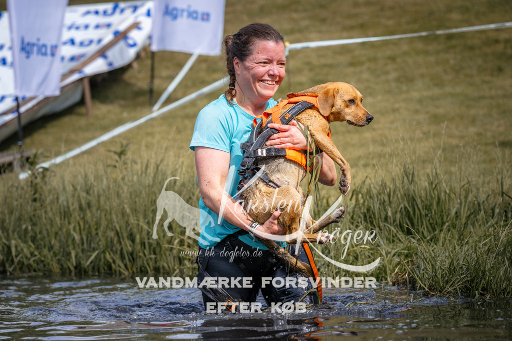 _ZZ905810902 | kk-dogfotos