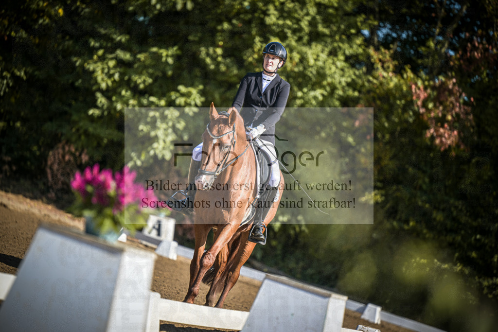 DOS_1926 | Entdecke hochwertige Reitturnierfotos von Foto Oger. Professionell, emotional und authentisch – jetzt Lieblingsmomente im Shop bestellen.Deutschlandweite Turnierfotografie. - Realisiert mit Pictrs.com