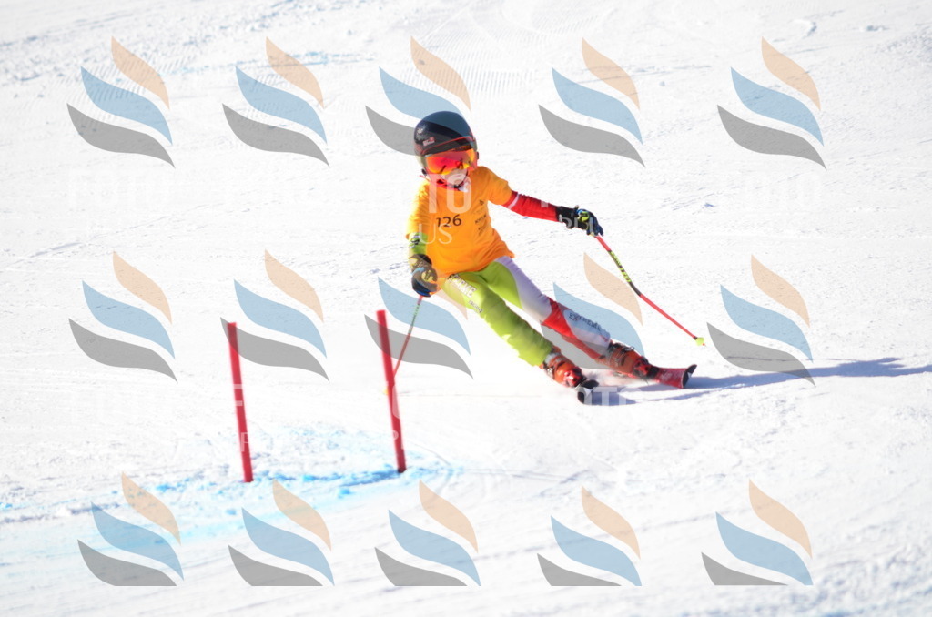 C6396 | holidayphoto