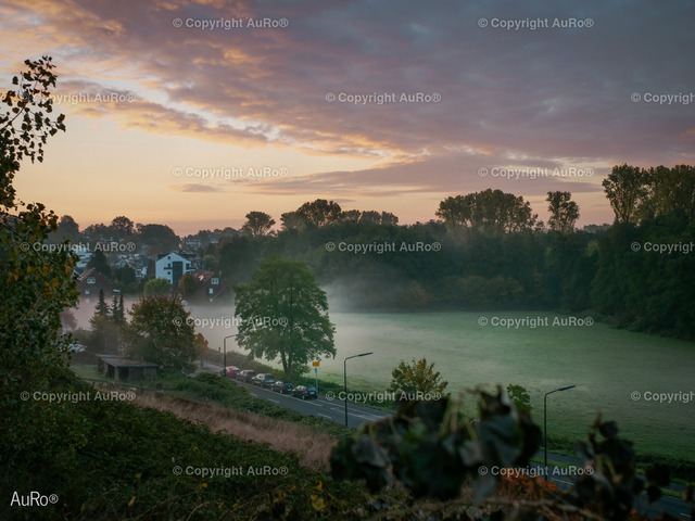 2022-10-22 Unterbach Wiese im Nebel 1 | AuRo® Services - Realisiert mit Pictrs.com