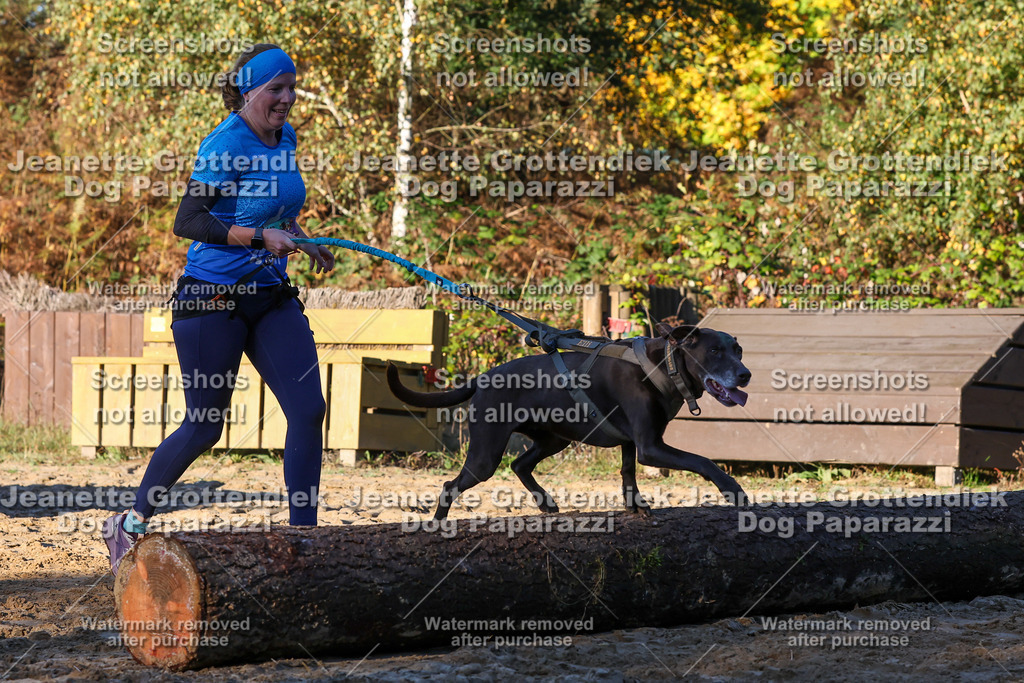 Dog Paparazzi - Strongdog 10-25-1050 | Dog Paparazzi Jeanette Grottendiek Fotografie & Videografie - Realisiert mit Pictrs.com