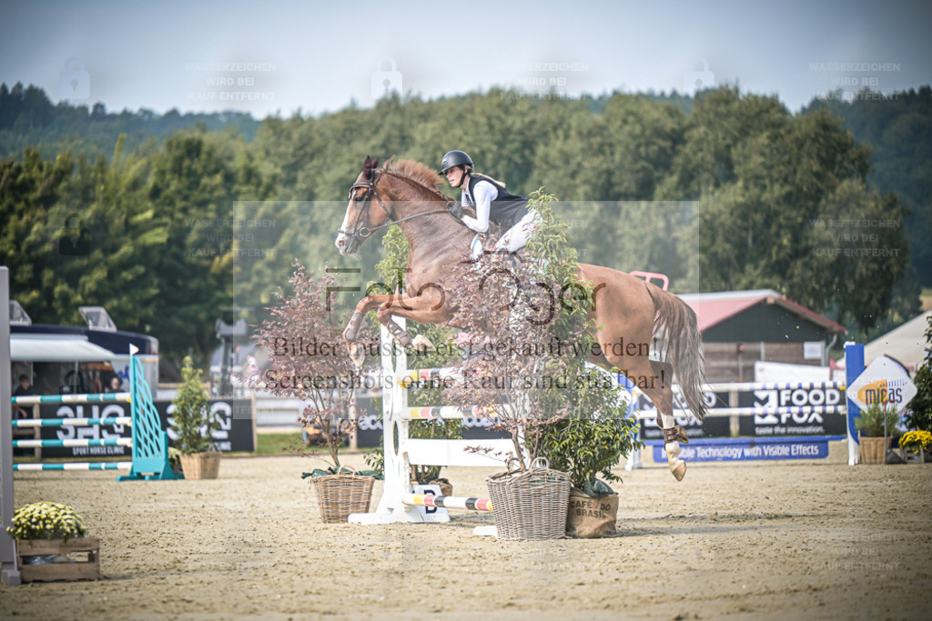 DOS_1178 | Entdecke hochwertige Reitturnierfotos von Foto Oger. Professionell, emotional und authentisch – jetzt Lieblingsmomente im Shop bestellen. - Realisiert mit Pictrs.com