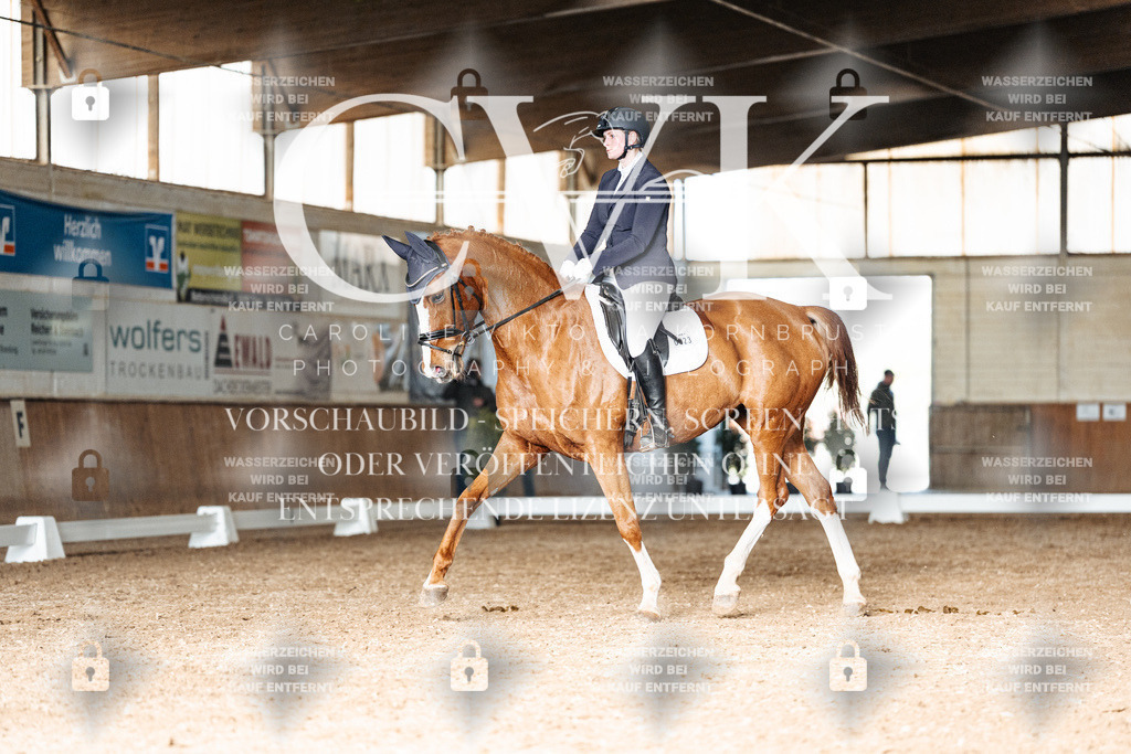 CK902793 | Turnierfotografie Pferdefotografie Trier Rheinland-Pfalz Pferdesport Reitsport Tierfotografie Sportfotografie Pferdevideo Pferdevideografie Equestrianvideography equestrianphotography  - Realisiert mit Pictrs.com