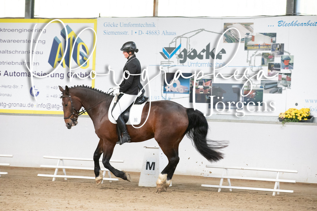 IMG_5873 | photographesa-joergens - Realisiert mit Pictrs.com