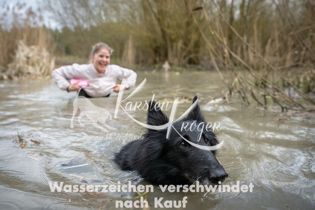1557_ZZ94765 | kk-dogfotos