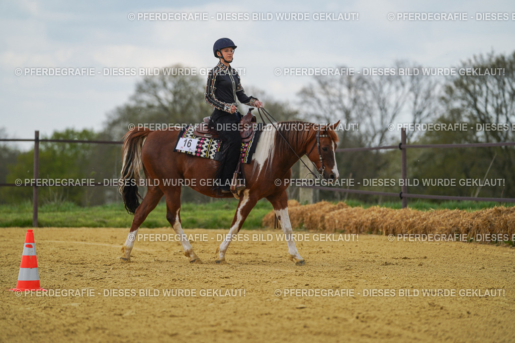 DSC06258 | Pferdegrafie