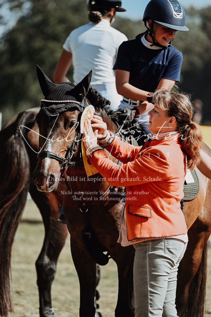 DSC_0117 | Pferde- und Turnierfotografie in Westsachsen. Pferdeportraits, Auftragszeichnungen und intuitive Kunst.