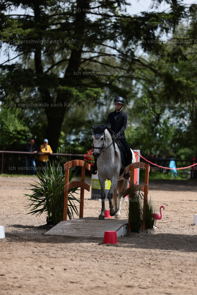 KlasseA_Stoibphotography_C2_L5721.JPG | working equitationturnier fotograf videograf stoibphotography marixx film working equitation deutschland reitsport turnierfotografie eventfotografie equestrian events