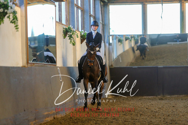 IMG_3393 | Turniersportfotografie; Pferdefotografie; Dressurfotografie