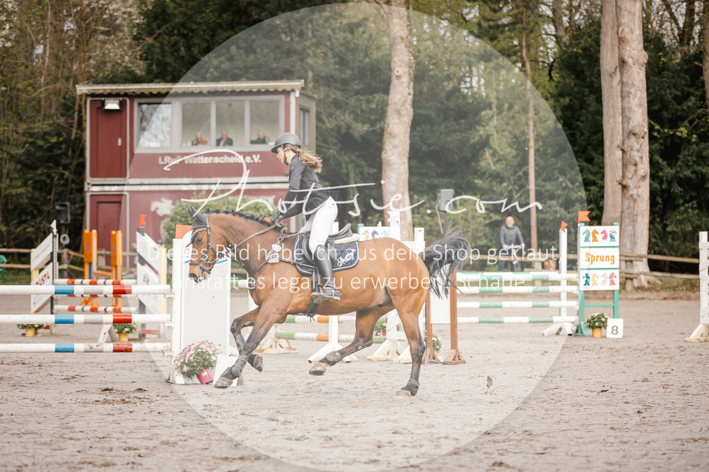 3I6A3183 | Stimmungsvolle Portraits und Reitsportfotografie im Ruhrgebiet und im Münsterland.

Pferdefotografie, Hundefotografie, Tierfotografie, Reportagen, Portraits von Tier und Mensch, Turnierfotografie in Bochum, Recklinghausen, Marl, Haltern am See, Dülmen.. - Realisiert mit Pictrs.com