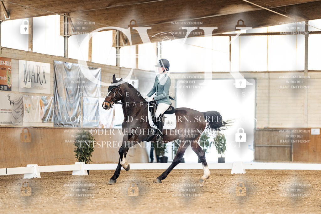 CK900969 | Turnierfotografie Pferdefotografie Trier Rheinland-Pfalz Pferdesport Reitsport Tierfotografie Sportfotografie Pferdevideo Pferdevideografie Equestrianvideography equestrianphotography  - Realisiert mit Pictrs.com