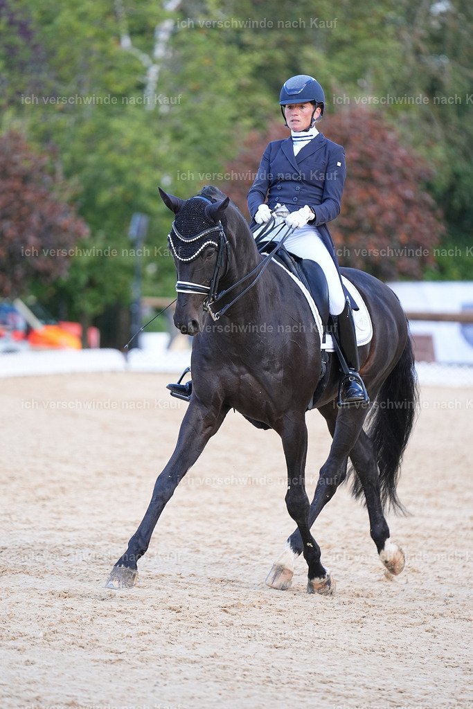 09_1-115-DRESSUR  S_  -Marixx-5676 | working equitationturnier fotograf videograf stoibphotography marixx film working equitation deutschland reitsport turnierfotografie eventfotografie equestrian events