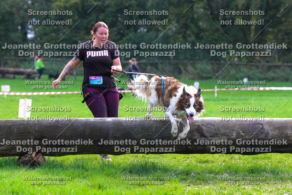 Dog Paparazzi -  SD1026-2174 | Dog Paparazzi Jeanette Grottendiek Fotografie & Videografie - Realisiert mit Pictrs.com
