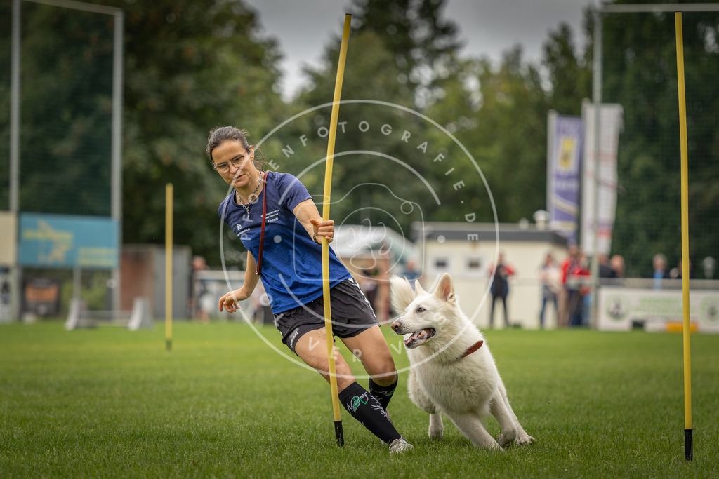 Pfotenfotografie_DV3A7954 | Hundefotografie, Tierfotograf, Pfotenfotografie, Fotoshooting Hund, Hunde Portrait, Hundesport, Hundeportraits, Heideshooting, Hunde, Sportfotograf, Hundefotograf, Turnierhundsport, THS,  - Realisiert mit Pictrs.com