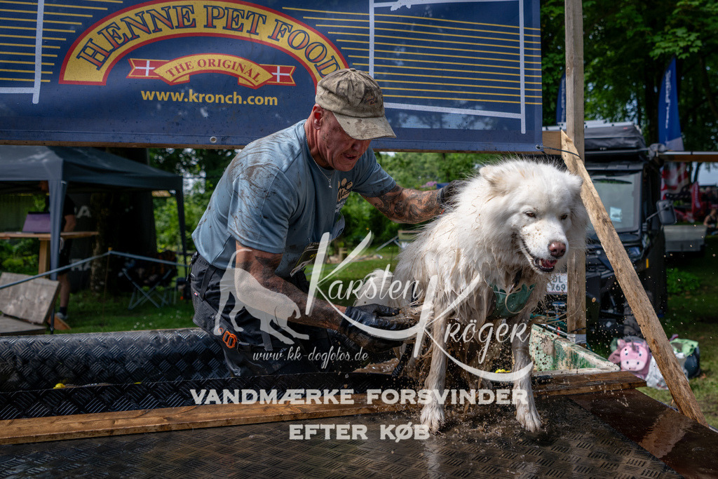 1135_ZZ94723 | kk-dogfotos