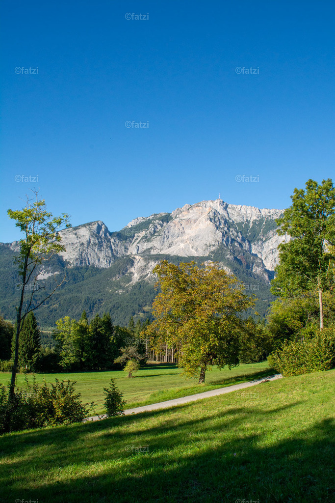 Dobr Panorama 2025 (Hohenthurn)_163831__fatzi | Fatzi Bilder-Archiv! 
Die Bilder sind für private Nutzung lizenzfrei. Die kommerzielle Nutzung ist möglich und erwünscht, jedoch bitte ich um vorherige Kontaktaufnahme per E-Mail (info@fatzi.at) oder unter +43 650 7828269 - Realisiert mit Pictrs.com